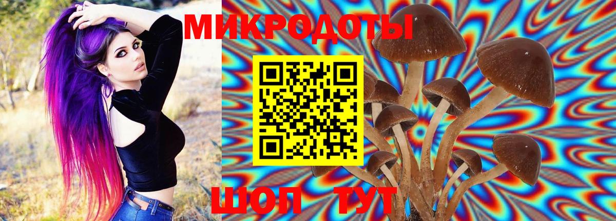 Псилоцибиновые грибы Psilocybe  даркнет сайт  Тула  Галлюциногенные грибы Cubensis  Вход с VPN 