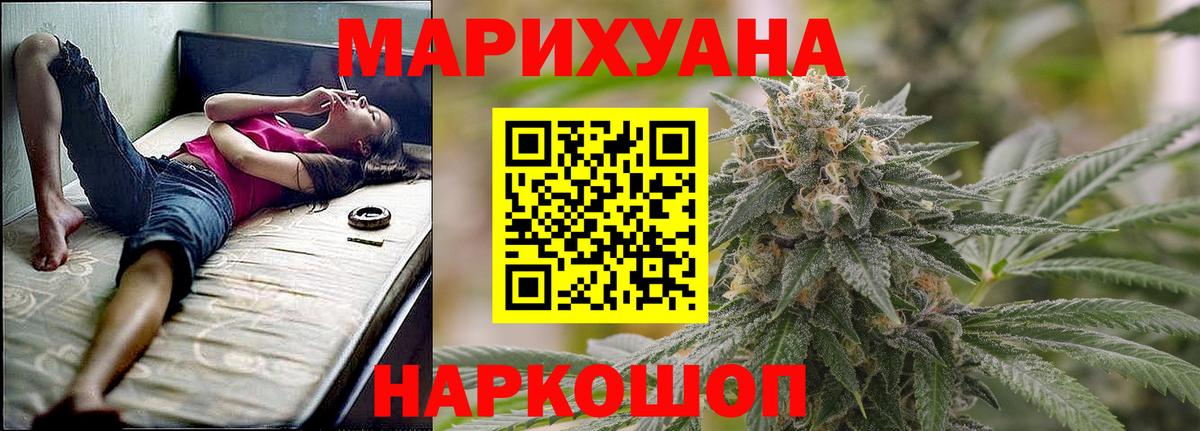 Бошки Шишки план Тула